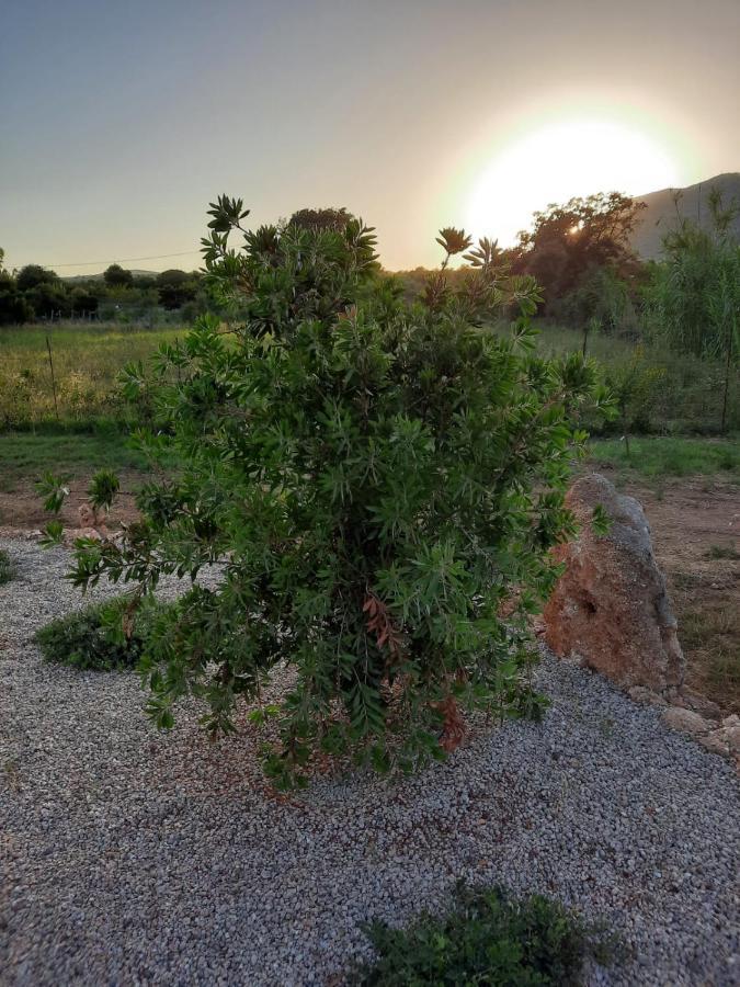 Villa Impetrata Iun Q7090 Orosei Eksteriør bilde