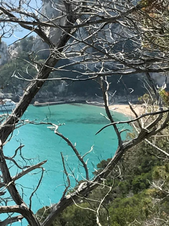 Villa Impetrata Iun Q7090 Orosei Eksteriør bilde