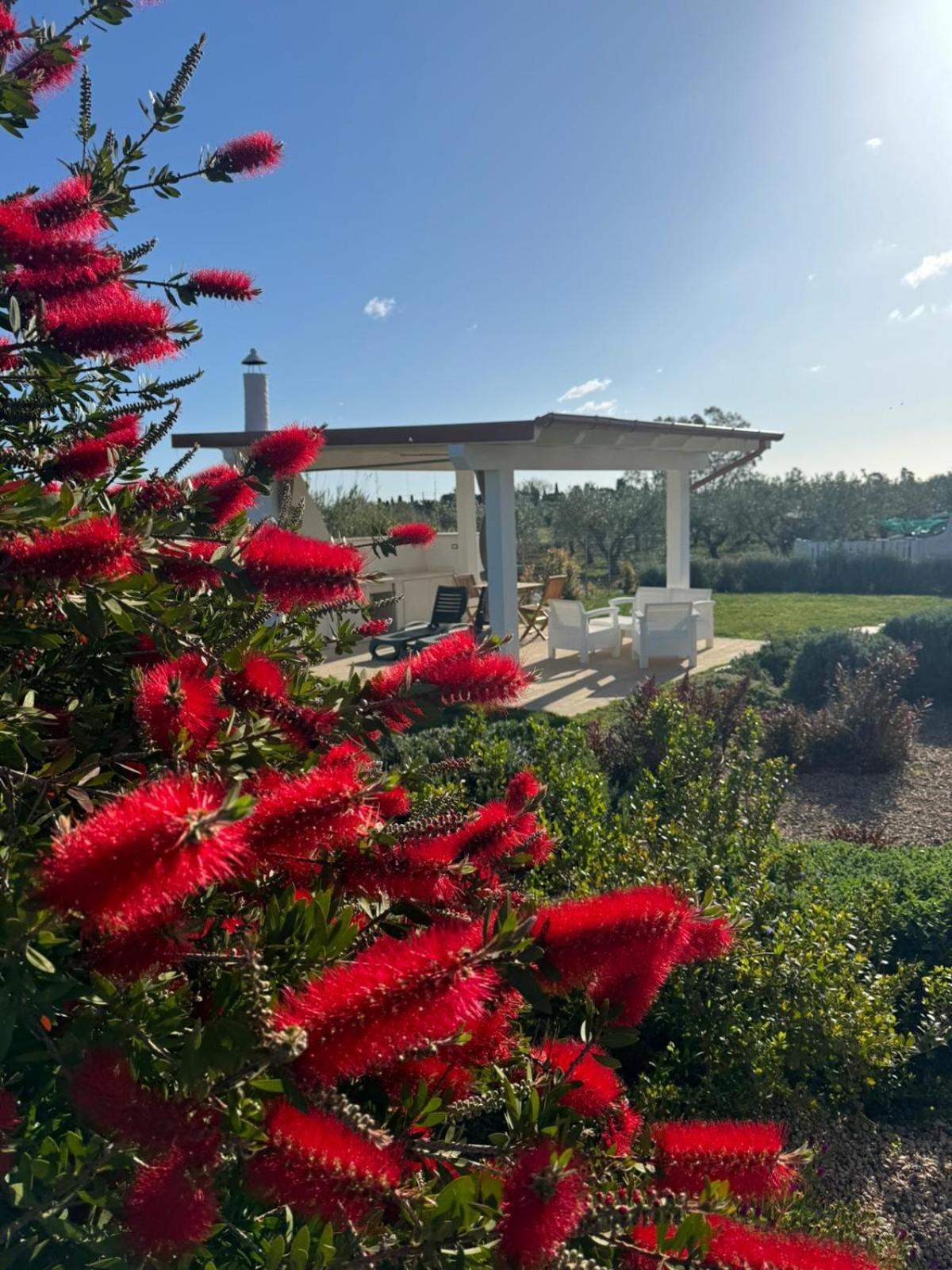 Villa Impetrata Iun Q7090 Orosei Eksteriør bilde